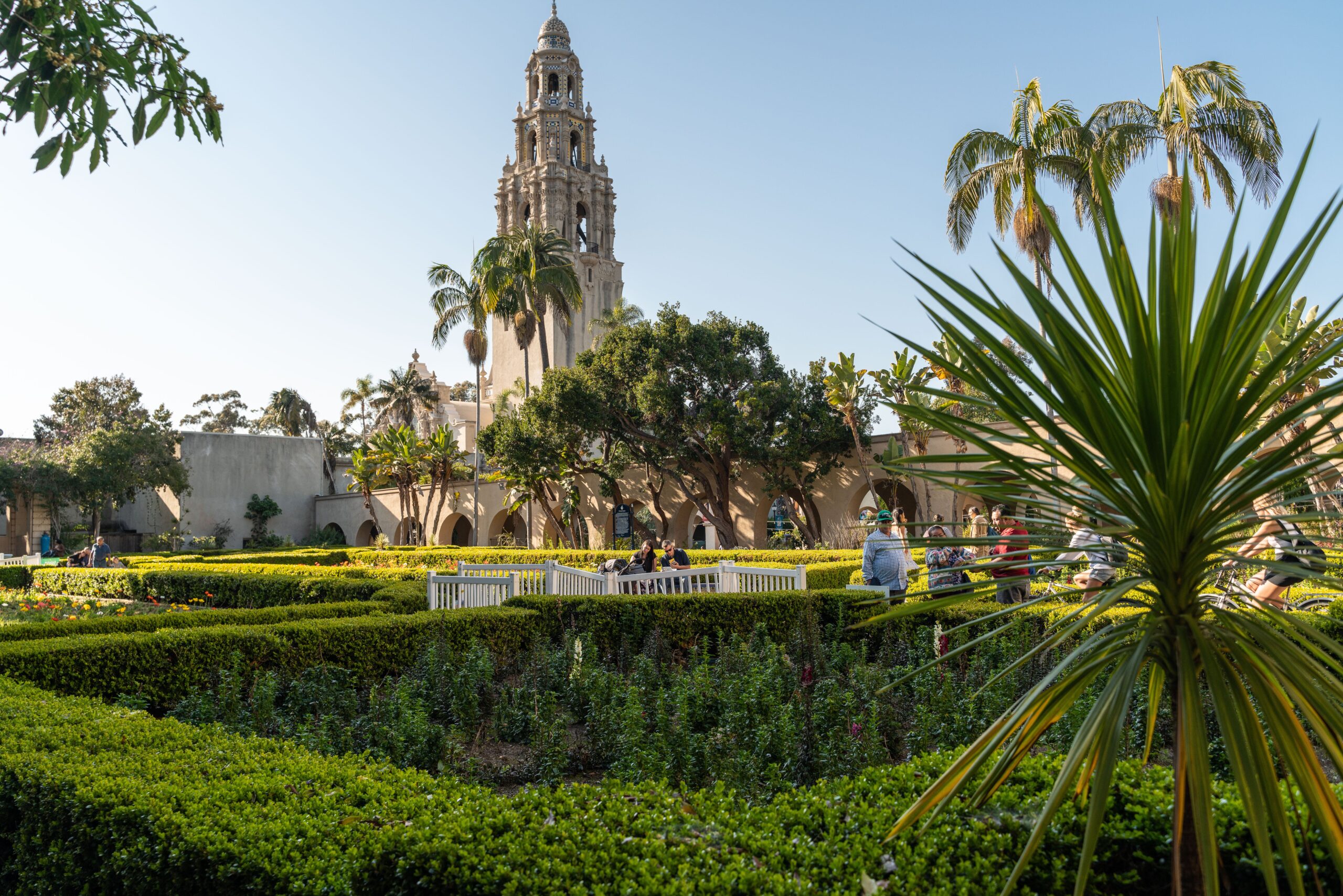 Balboa Park: A Cultural and Historical Haven in San Diego